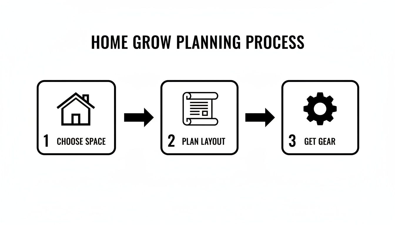 A three-step infographic illustrating the home grow planning process: choose space, plan layout, and get gear.
