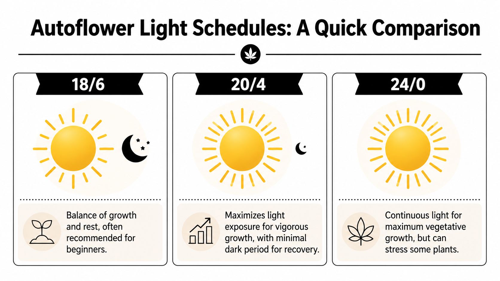 A comparison chart showing 18/6, 20/4, and 24/0 light schedules for growing autoflowering cannabis plants.