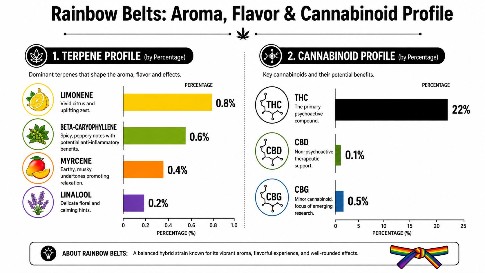 A detailed infographic showing the terpene and cannabinoid profile percentages for the Rainbow Belts cannabis strain.