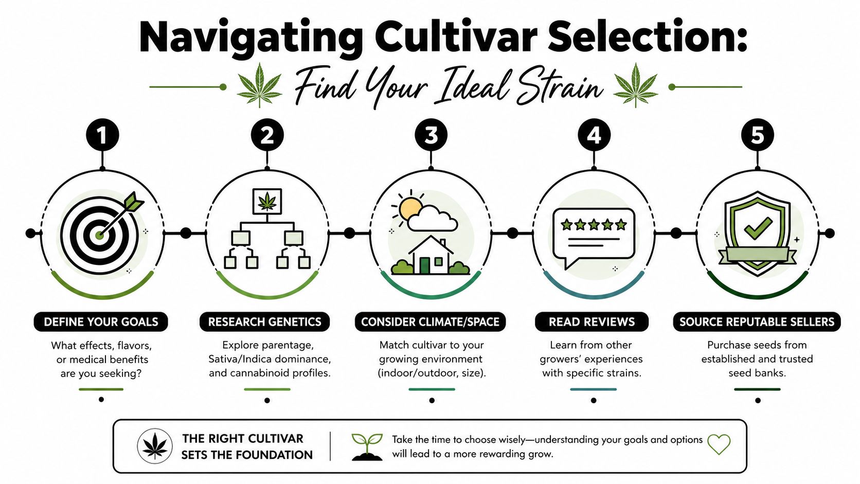 A five-step instructional infographic showing how to select the right cannabis cultivar for your growing needs.