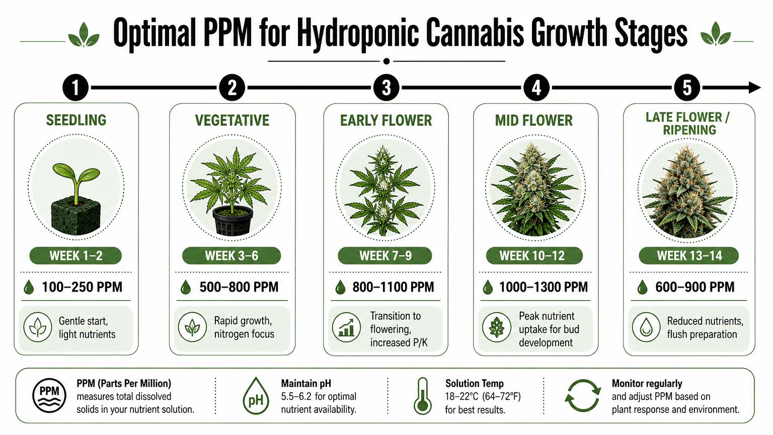 An infographic detailing the optimal parts per million levels for hydroponic cannabis during different growth stages.