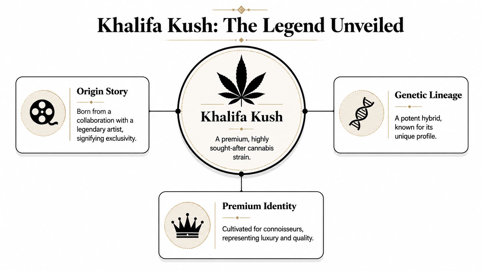 An infographic titled Khalifa Kush: The Legend Unveiled, detailing the origin, genetics, and identity of the strain.