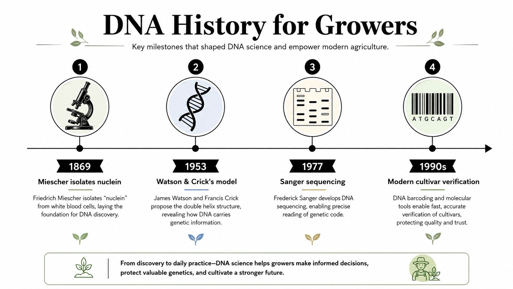 A timeline infographic detailing the history of DNA science from 1869 to modern day agricultural applications.