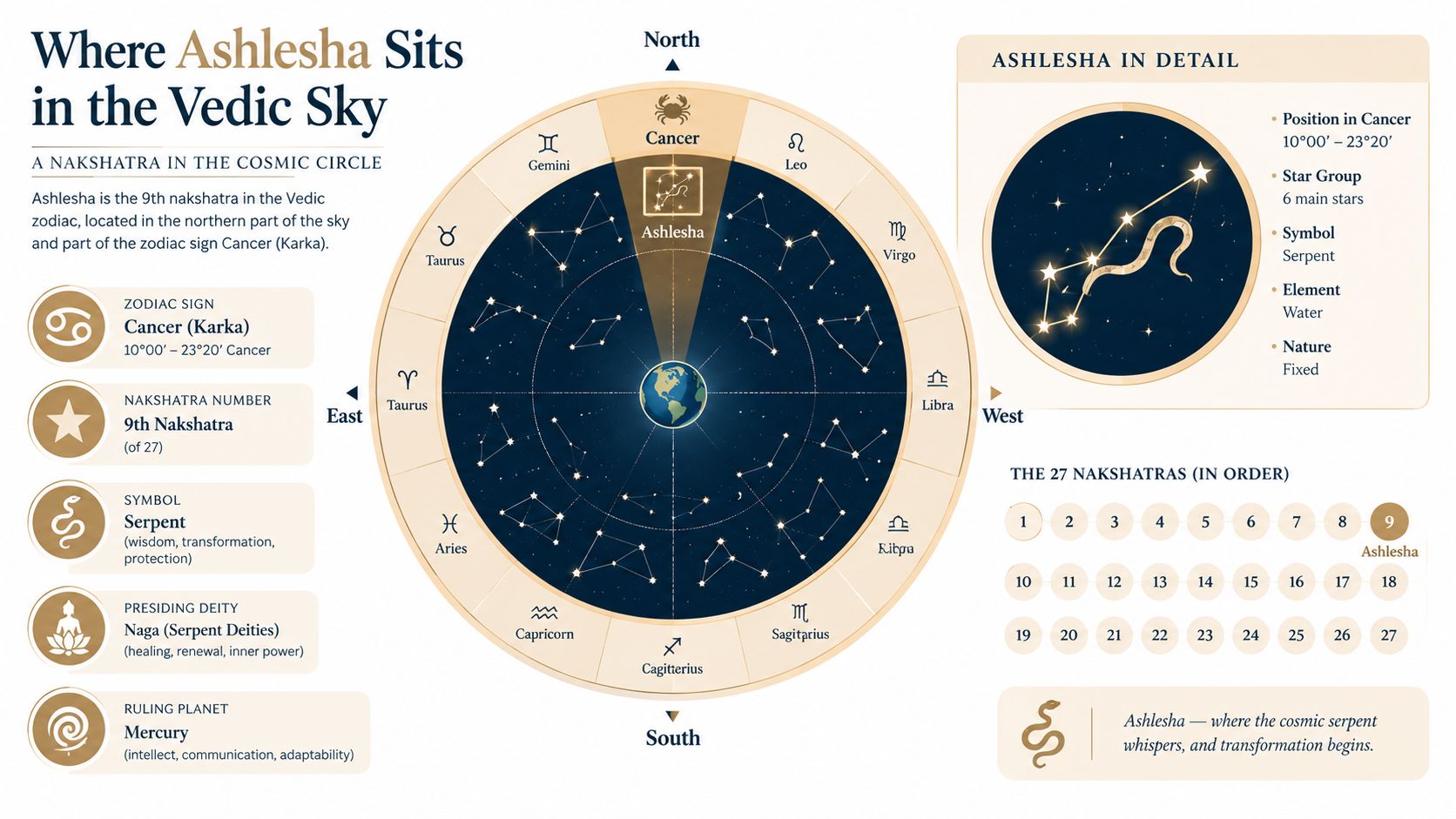 A detailed infographic explaining the Ashlesha Nakshatra, its Vedic zodiac position, ruling planet, symbol, and cosmic alignment.