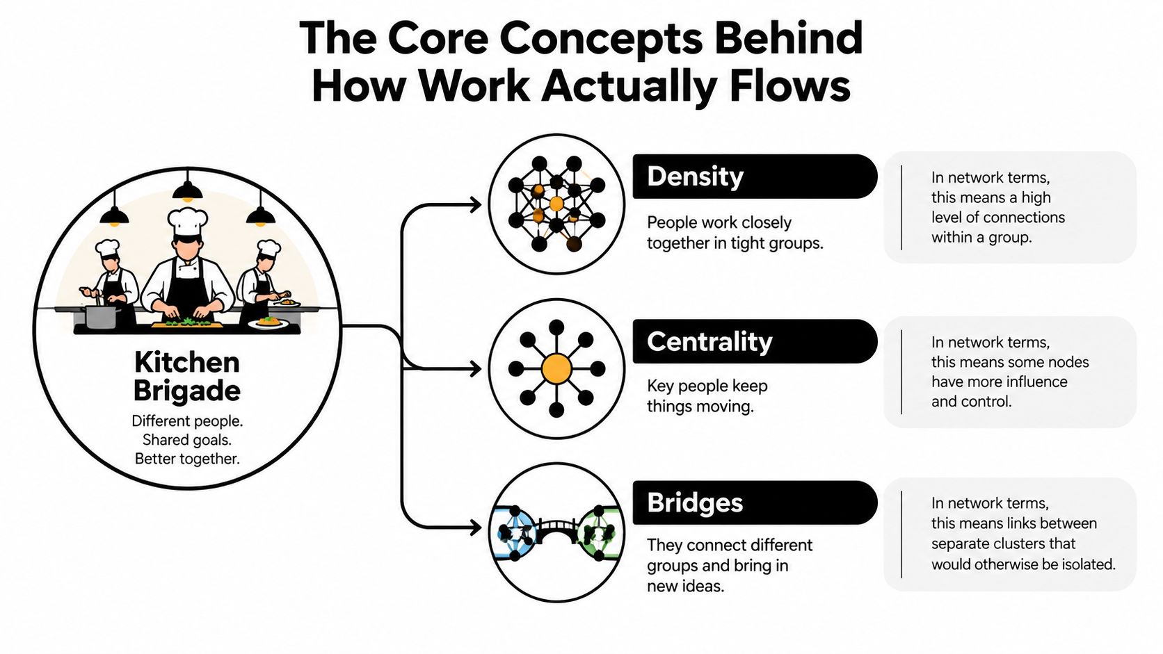 An infographic illustrating how kitchen brigade structure relates to organizational network analysis concepts like density, centrality, and bridges.
