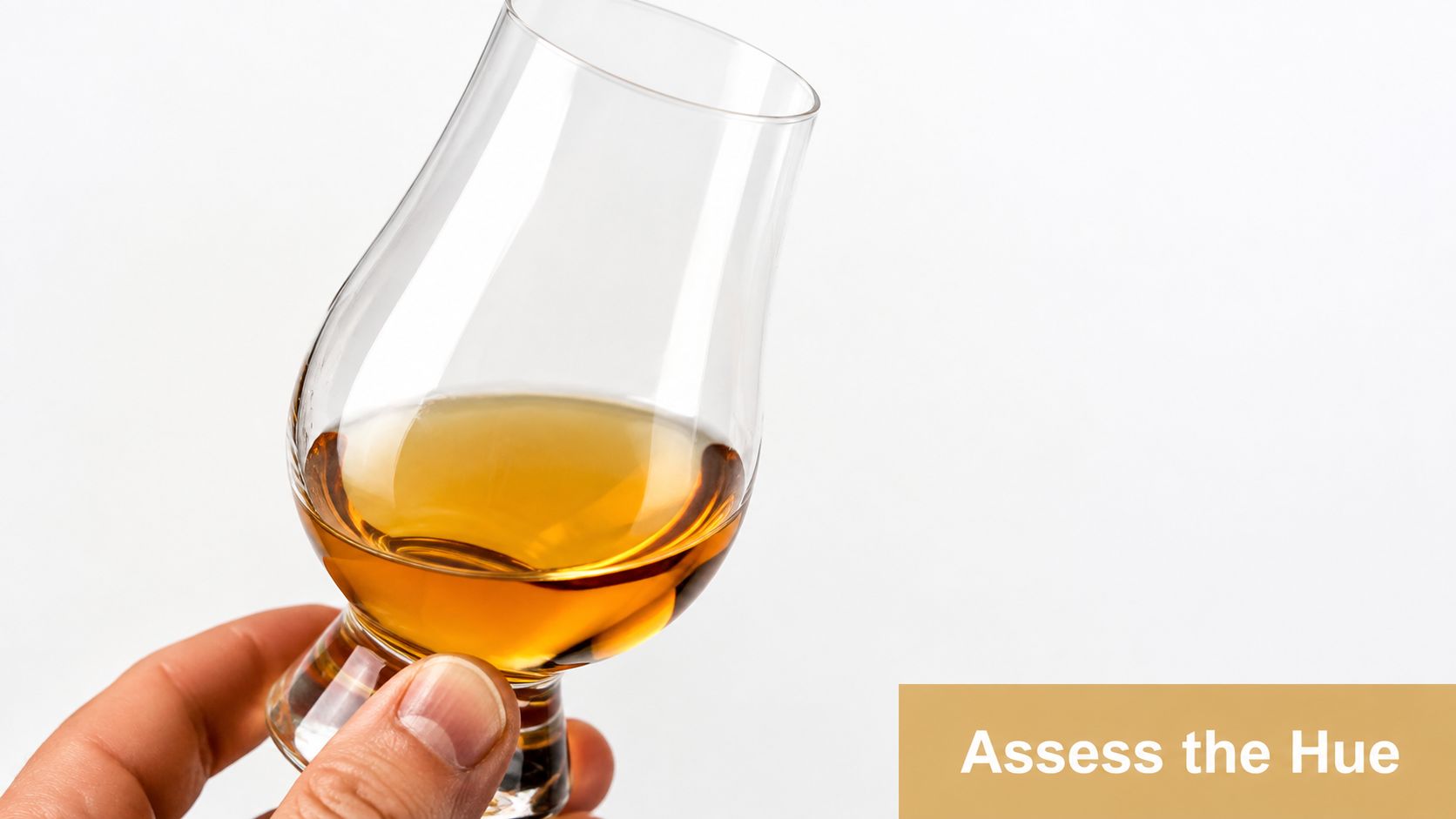 A close-up view of a person holding a glass of high quality golden-colored rye whiskey.