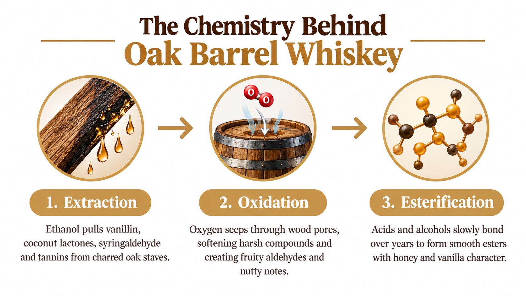 A diagram illustrating the three chemical processes in oak barrel whiskey production: extraction, oxidation, and esterification.