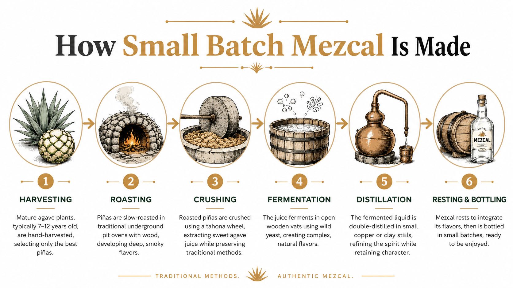 An infographic detailing the six-step traditional artisanal process of making small batch mezcal from agave plants.
