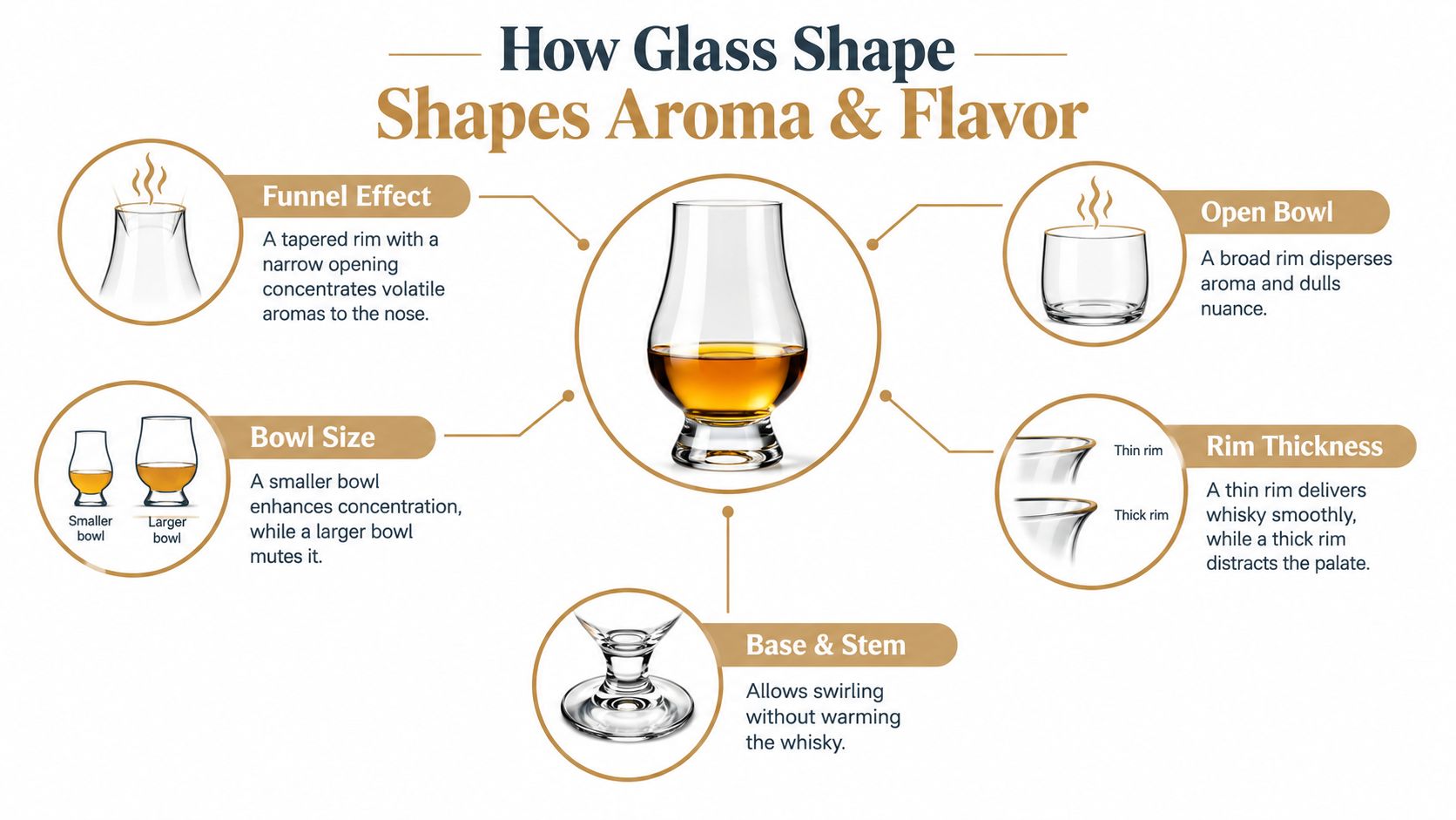 An infographic detailing how different whiskey glass shapes, rim sizes, and bases affect aroma and flavor profiles.