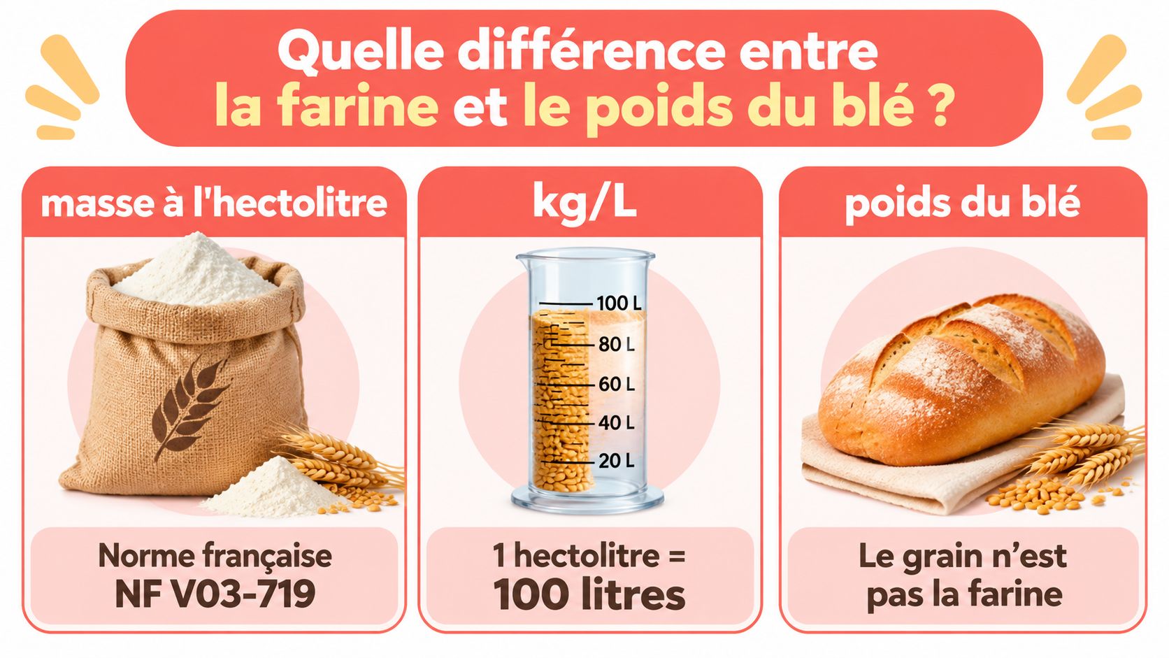 Une infographie pédagogique expliquant la distinction entre la masse à l'hectolitre, le poids du blé et la farine.