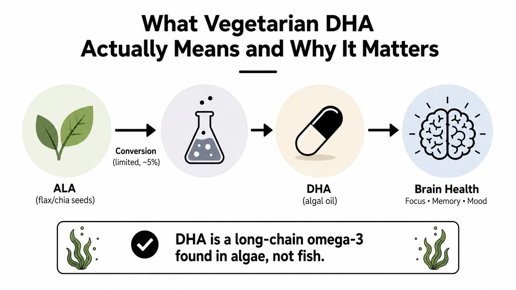 A diagram explaining that vegetarian DHA from algae supplements is essential for brain health and cognitive function.