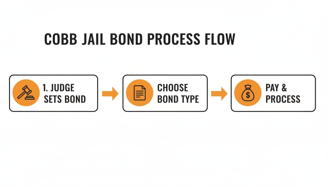 24-Hour Bail Bonds in Forsyth County, GA: Your Guide to a Fast Jail Release