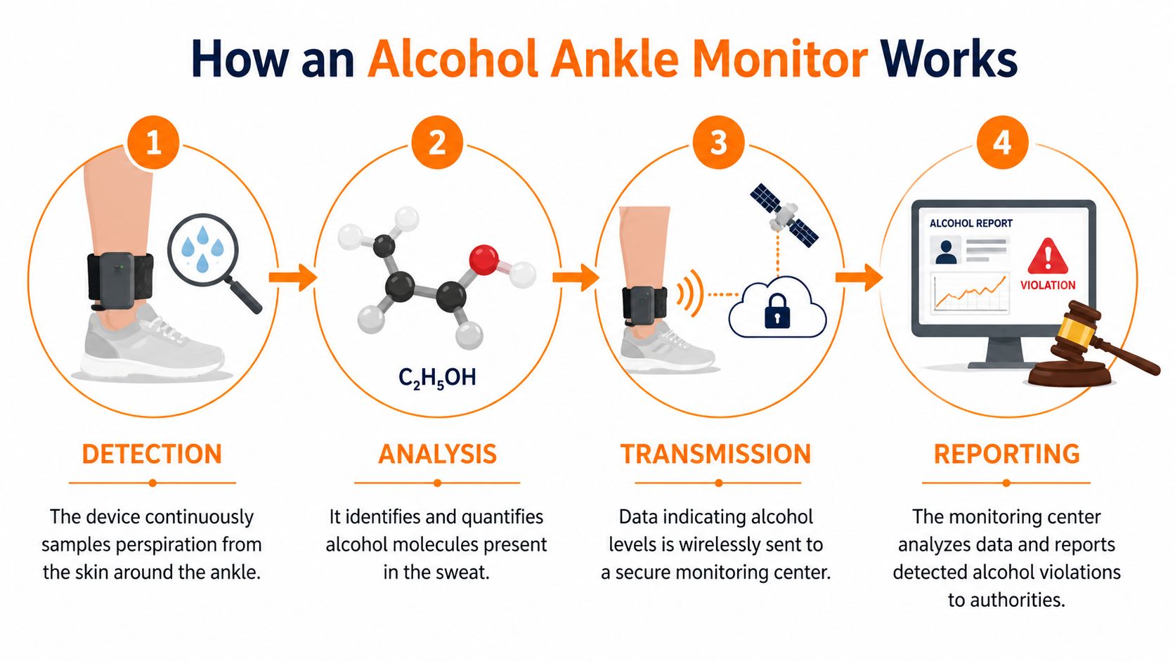 A four-step infographic showing how an alcohol ankle monitor detects, analyzes, transmits, and reports alcohol consumption data.