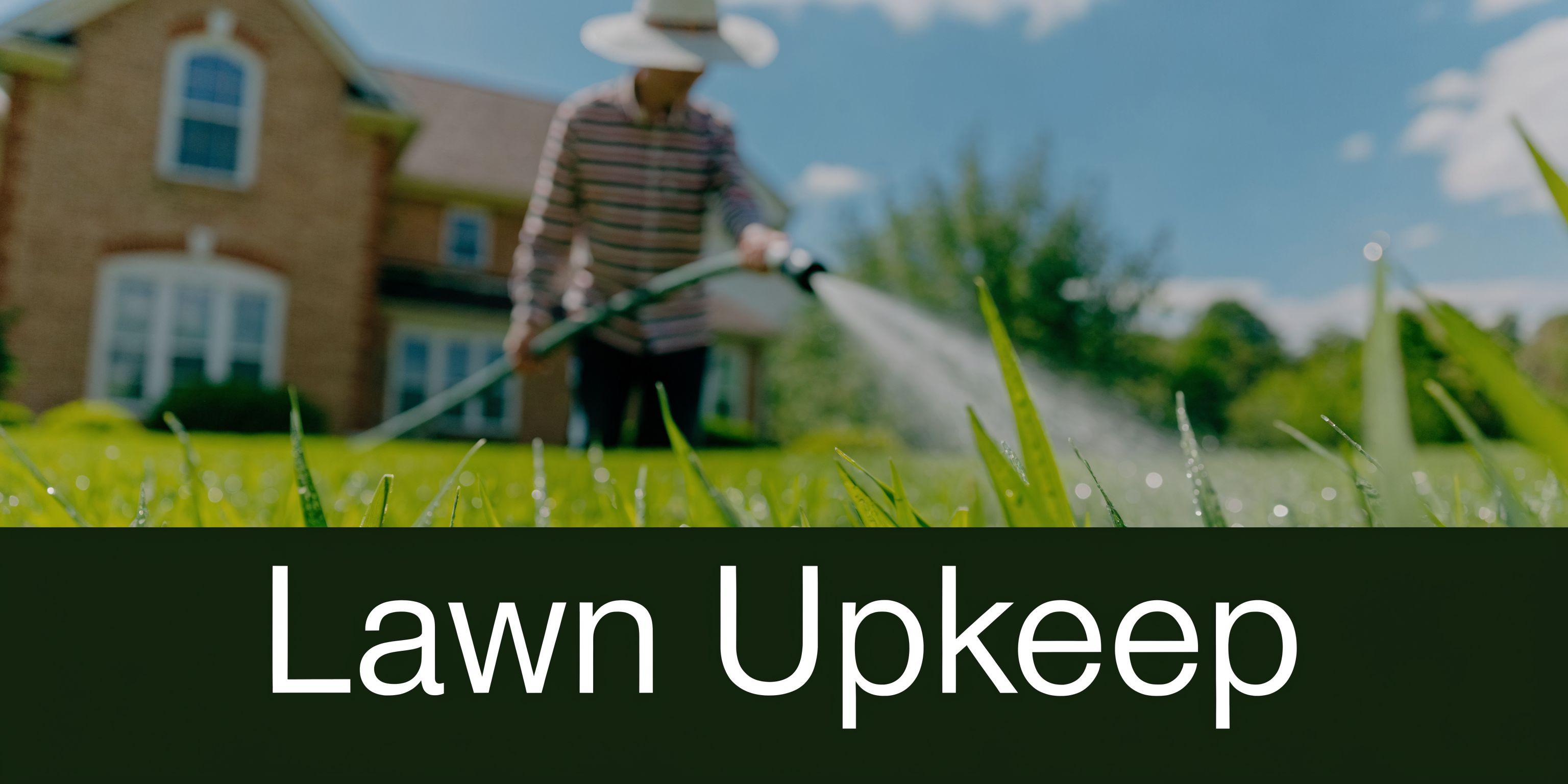 A person in a sun hat watering a green lawn in front of a house at sunrise.