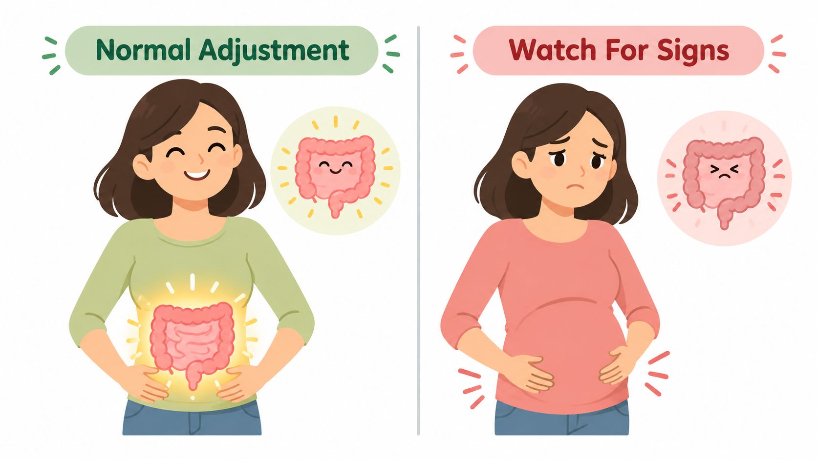 A split image illustrating the difference between a healthy digestive system and one experiencing discomfort or constipation.