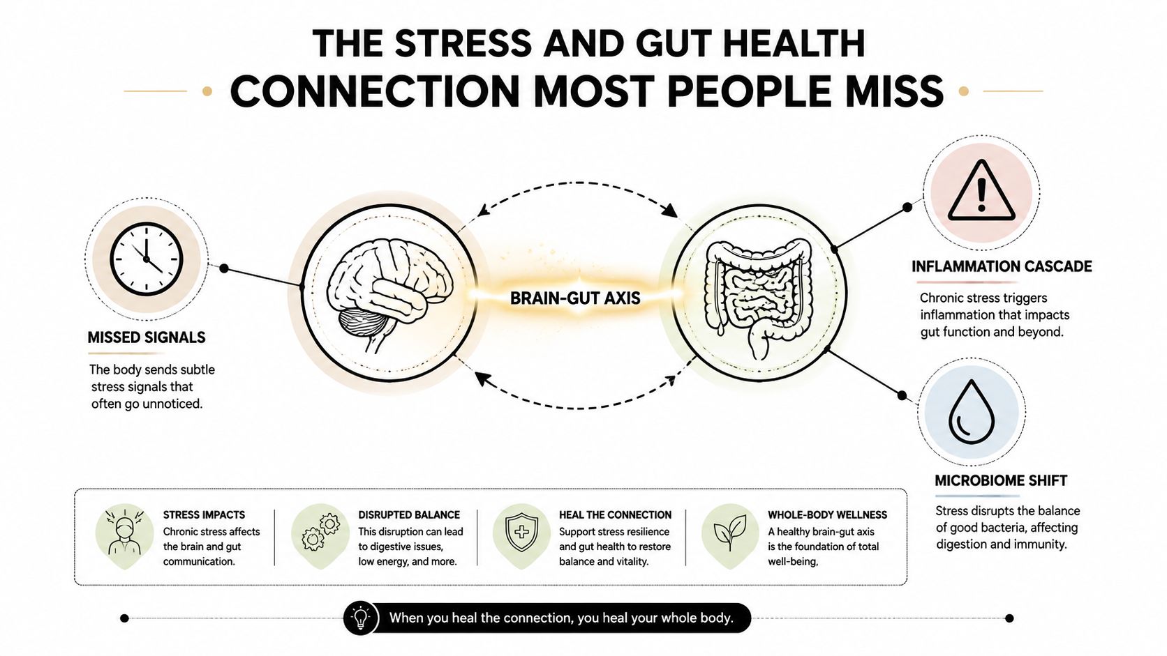 An infographic illustrating the brain-gut axis and how chronic stress negatively impacts digestive health and overall well-being.
