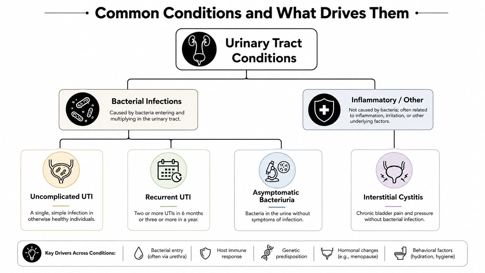A diagram categorizing urinary tract conditions into bacterial infections and inflammatory issues, with key drivers listed below.