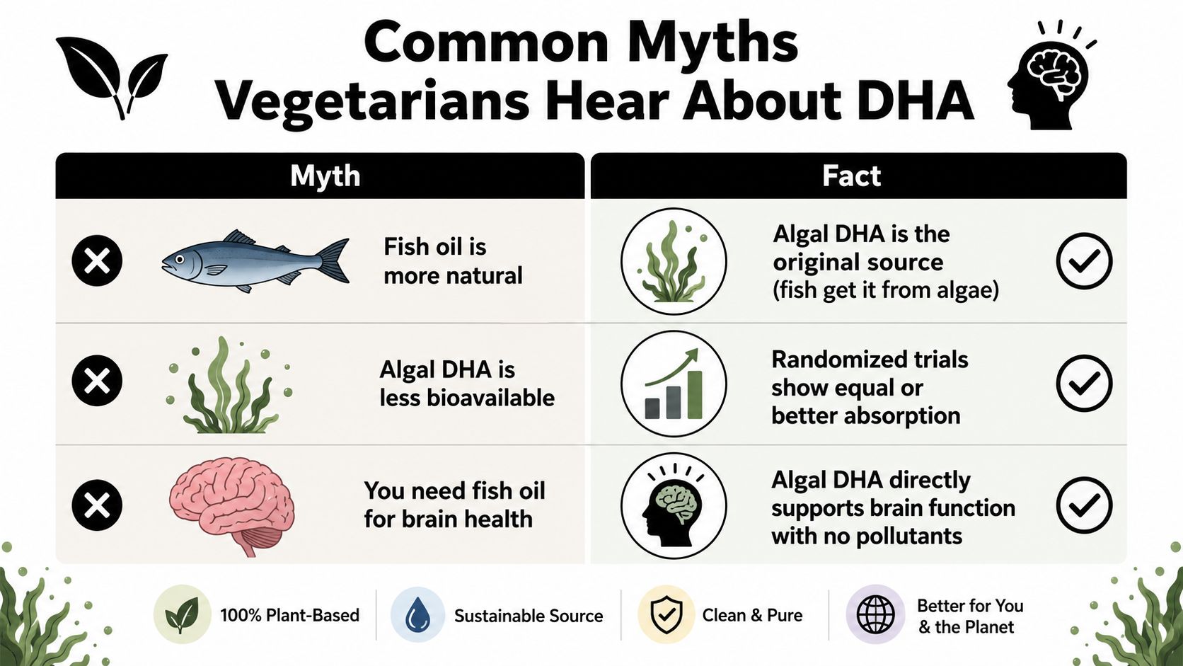 A comparison chart debunking common myths about vegetarian DHA supplements versus traditional fish oil sources.