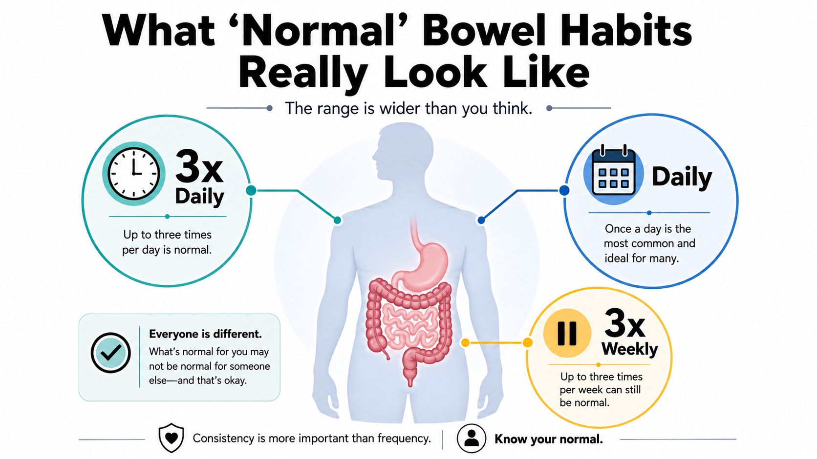 An infographic illustrating that normal bowel habits range from three times daily to three times weekly.