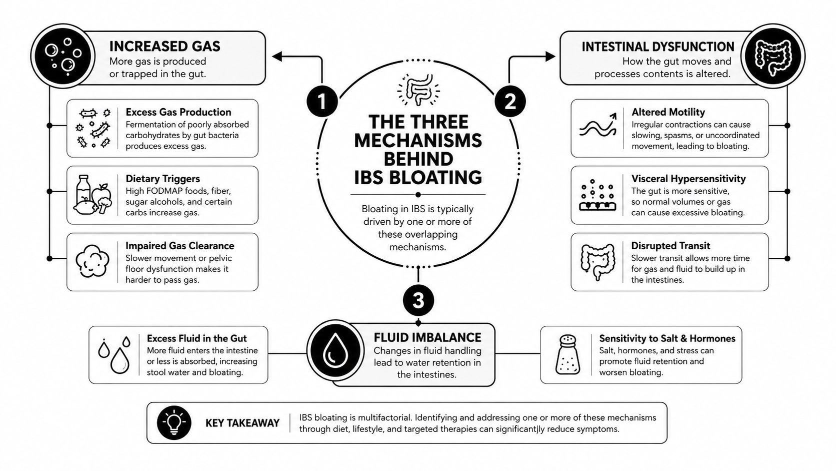 An infographic showing the three main mechanisms behind IBS bloating, including gas, intestinal dysfunction, and fluid imbalance.