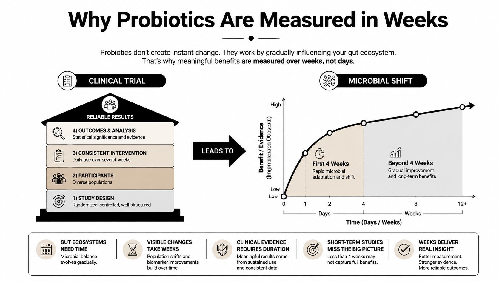 An infographic explaining why probiotics require several weeks of consistent use to show meaningful, measurable health results.