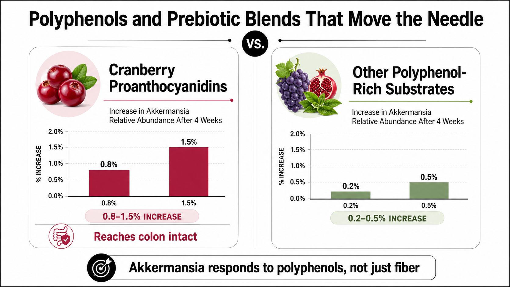 A comparison chart showing cranberry proanthocyanidins significantly increasing Akkermansia levels compared to other polyphenol-rich substrates.