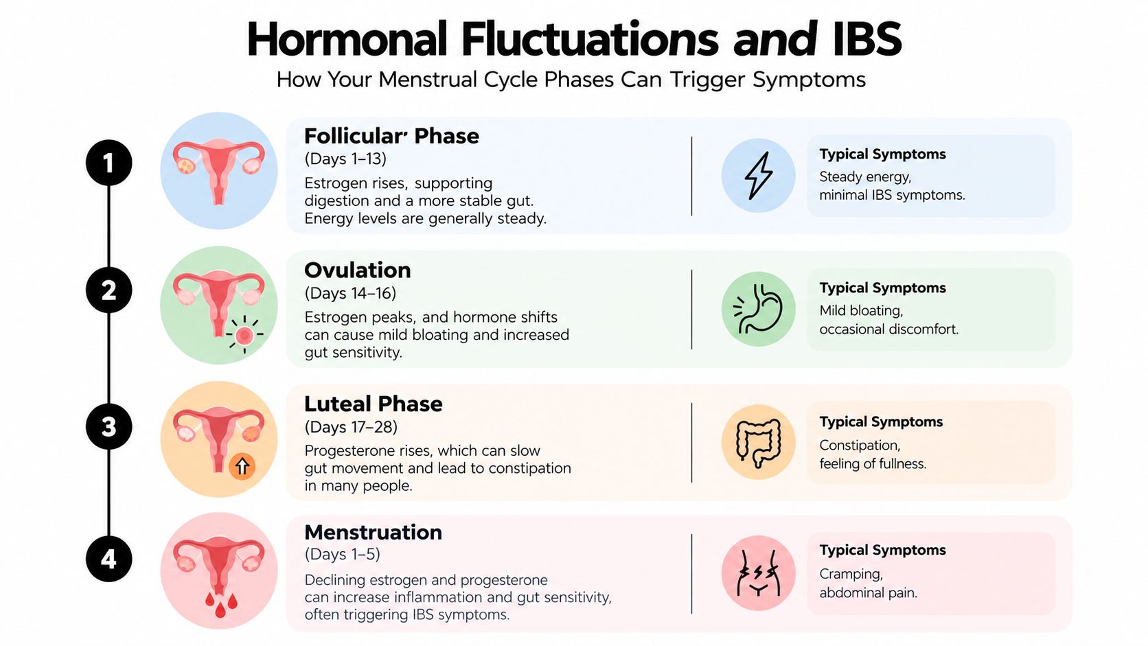 A chart illustrating how hormonal fluctuations during the menstrual cycle impact IBS symptoms across four distinct phases.
