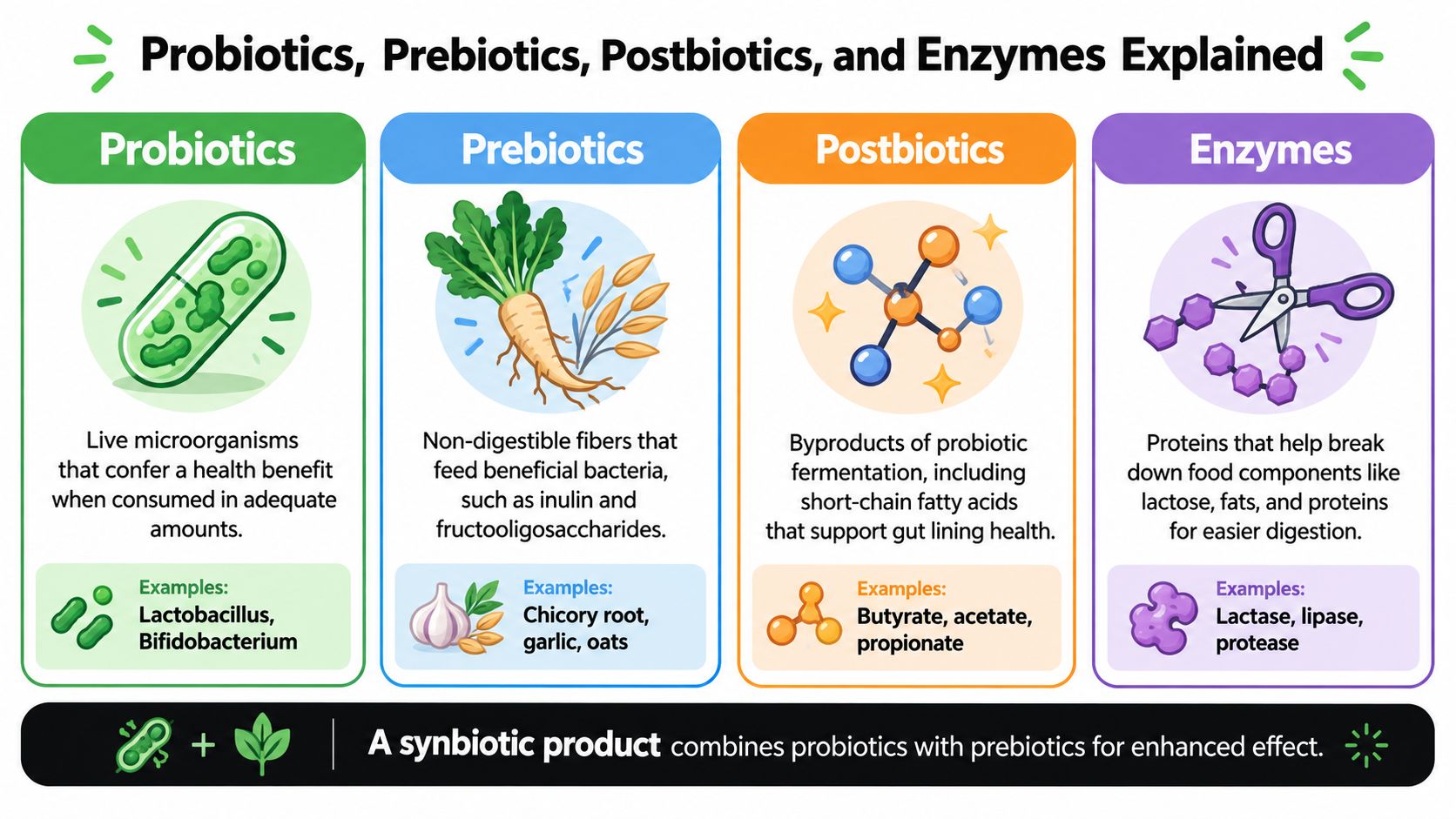 An infographic explaining the differences between probiotics, prebiotics, postbiotics, and digestive enzymes for gut health.