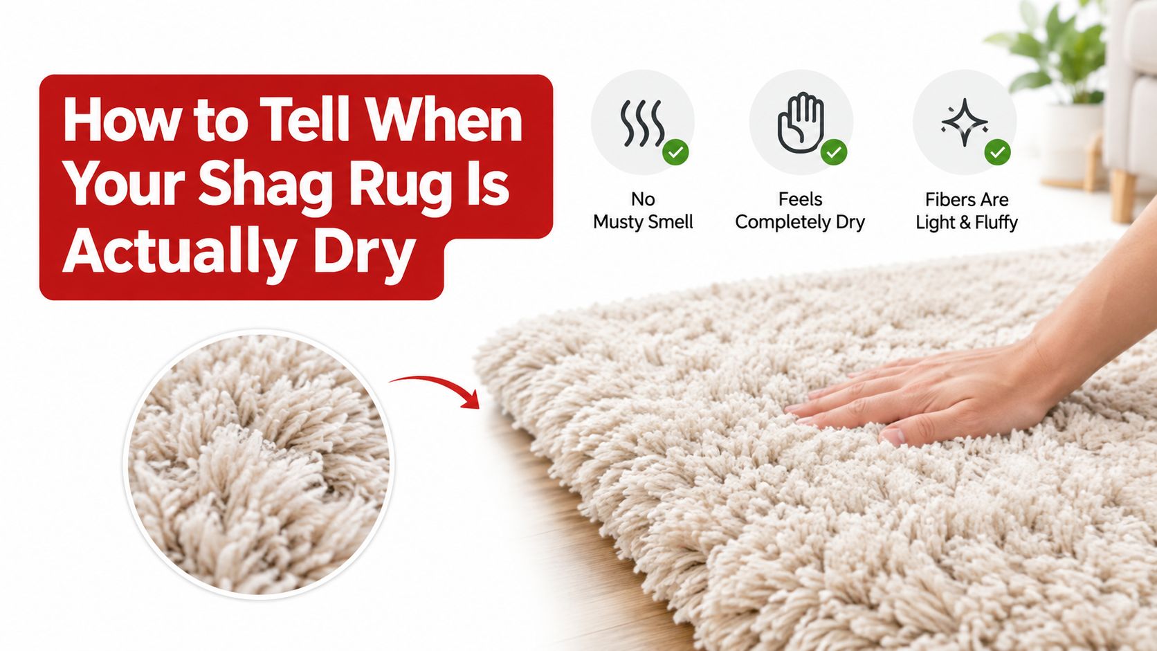A visual guide illustrating three easy steps to confirm that a shag rug is fully dry.