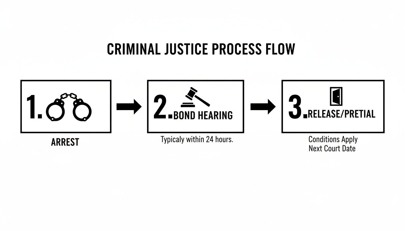 Flowchart detailing the criminal justice process, from arrest to bond hearing and eventual release/pretrial.