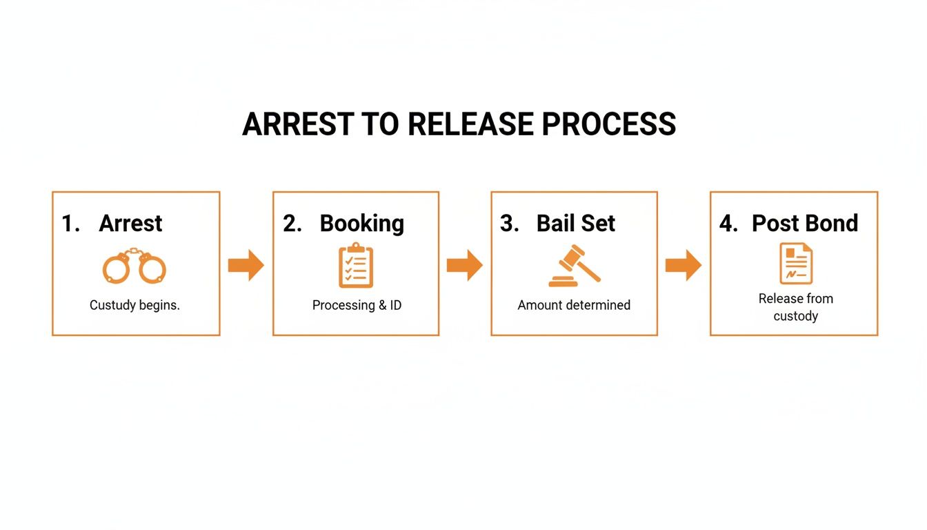 Flowchart illustrating the four key steps in the arrest to release process, from arrest to post bond.