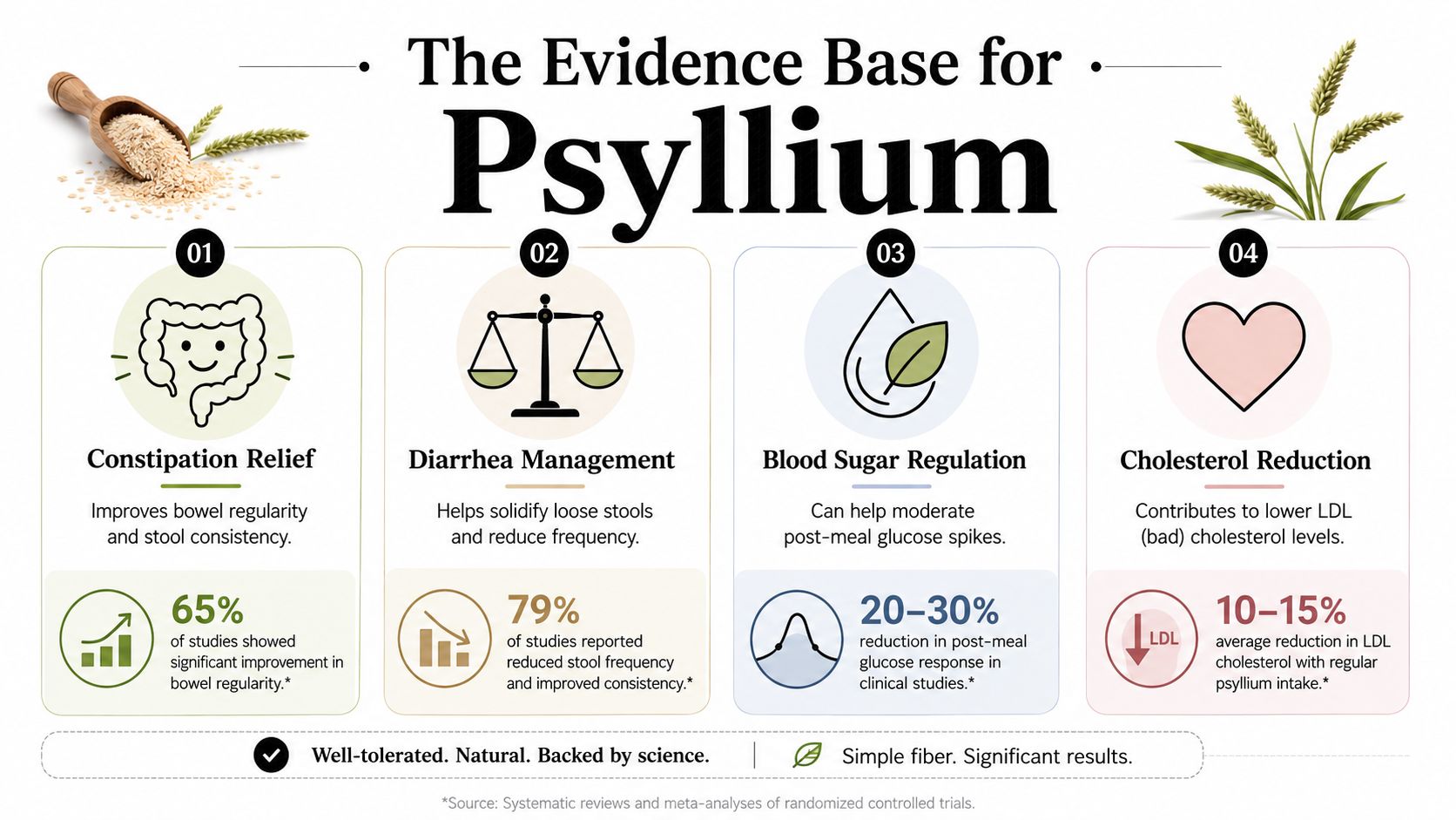 An infographic showing the scientifically backed health benefits of psyllium husk, including digestion, blood sugar, and cholesterol.