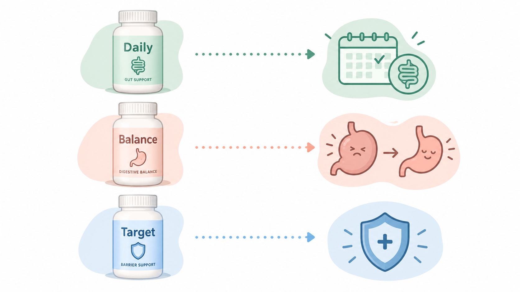 Three supplement bottles with gut health benefits shown alongside icons representing consistency, digestive balance, and barrier support.
