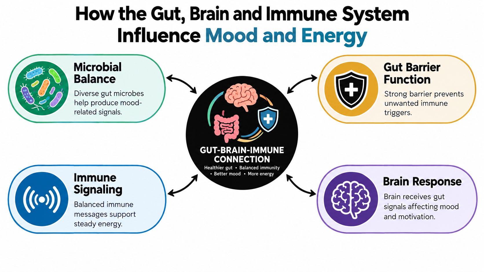 A diagram illustrating how the gut, brain, and immune system work together to influence mood and energy levels.
