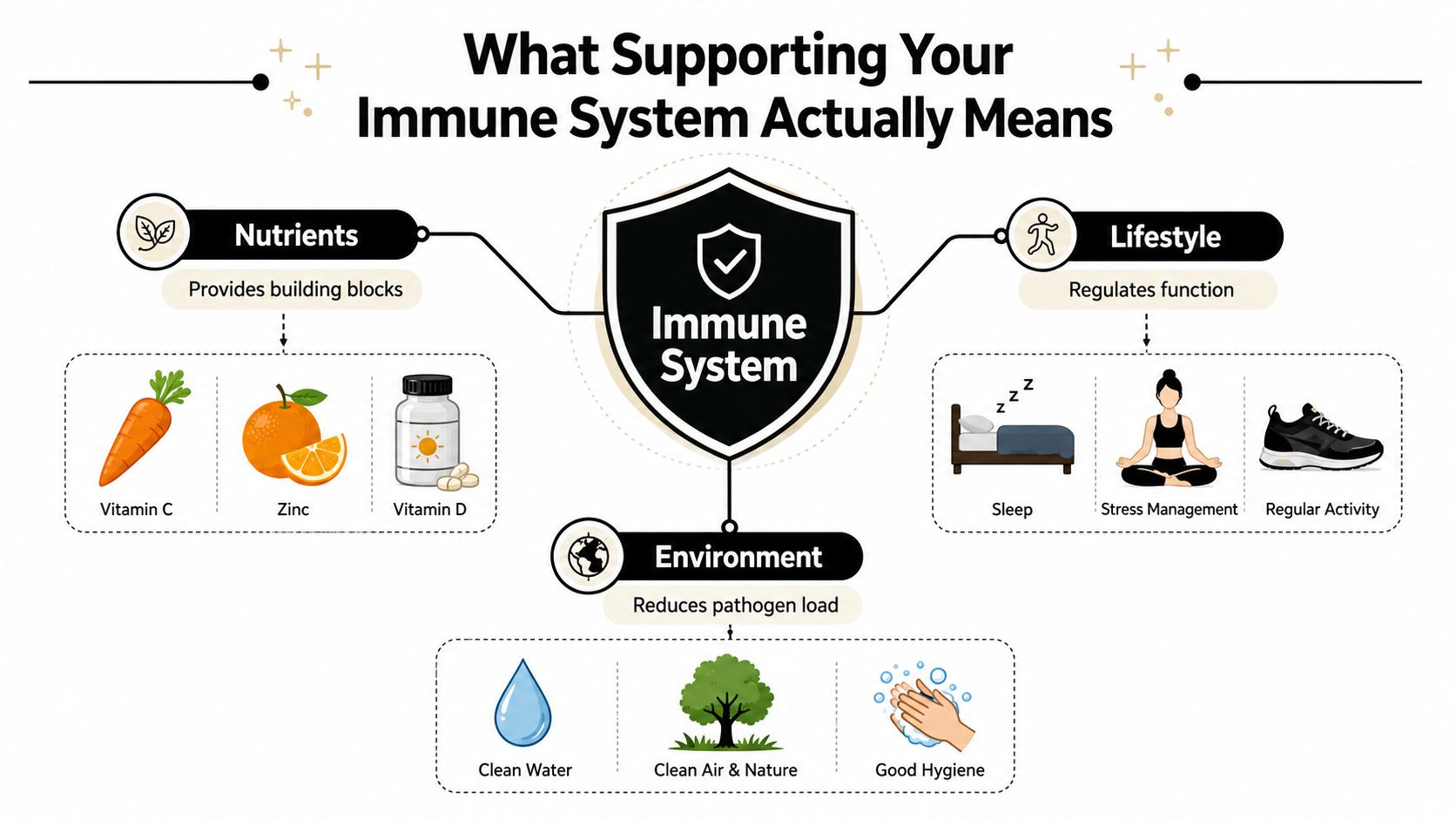 A diagram illustrating how supporting the immune system involves maintaining nutrients, healthy lifestyle habits, and a clean environment.