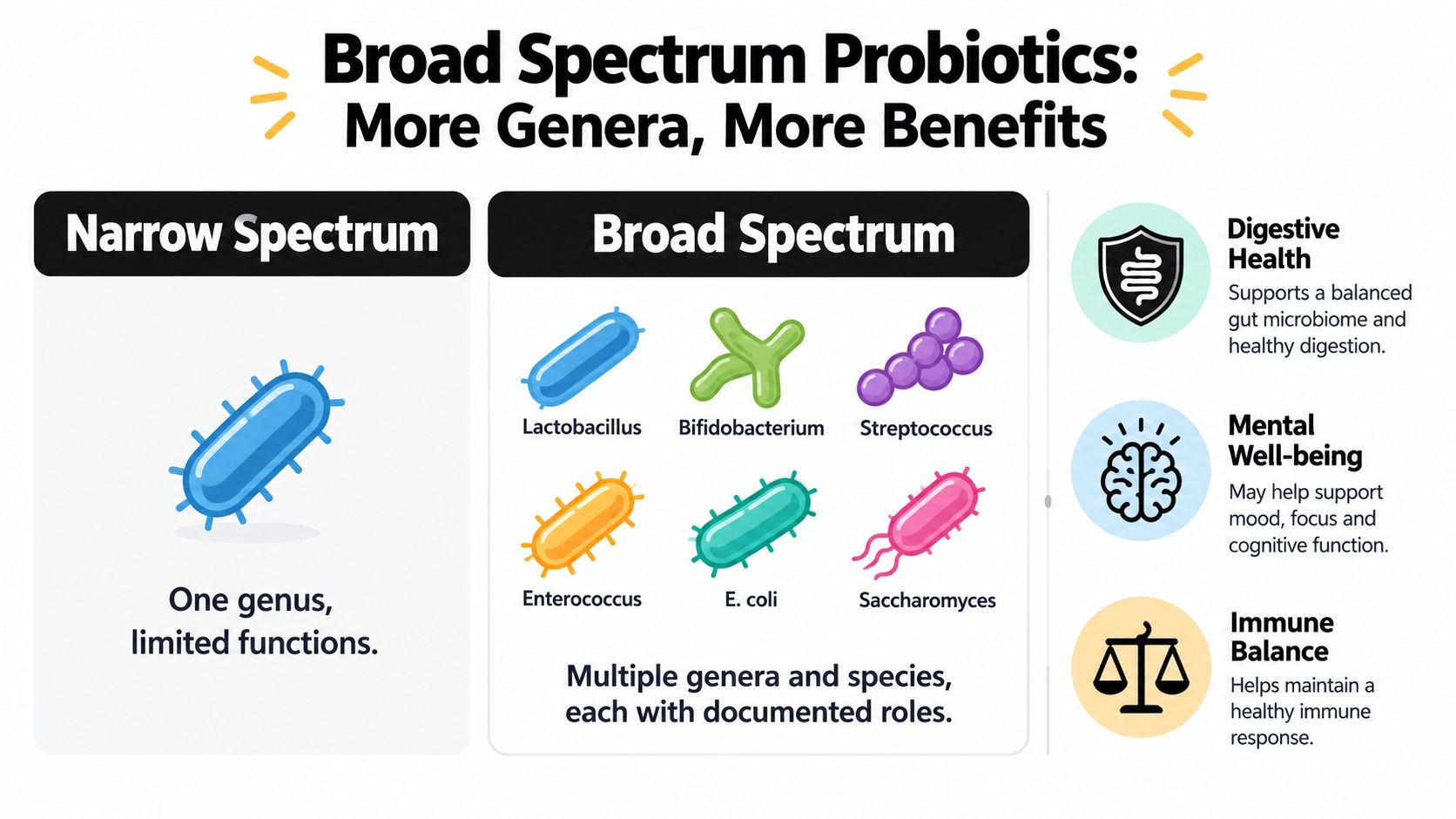 An infographic comparing narrow spectrum and broad spectrum probiotics, highlighting their benefits for gut, mental, and immune health.
