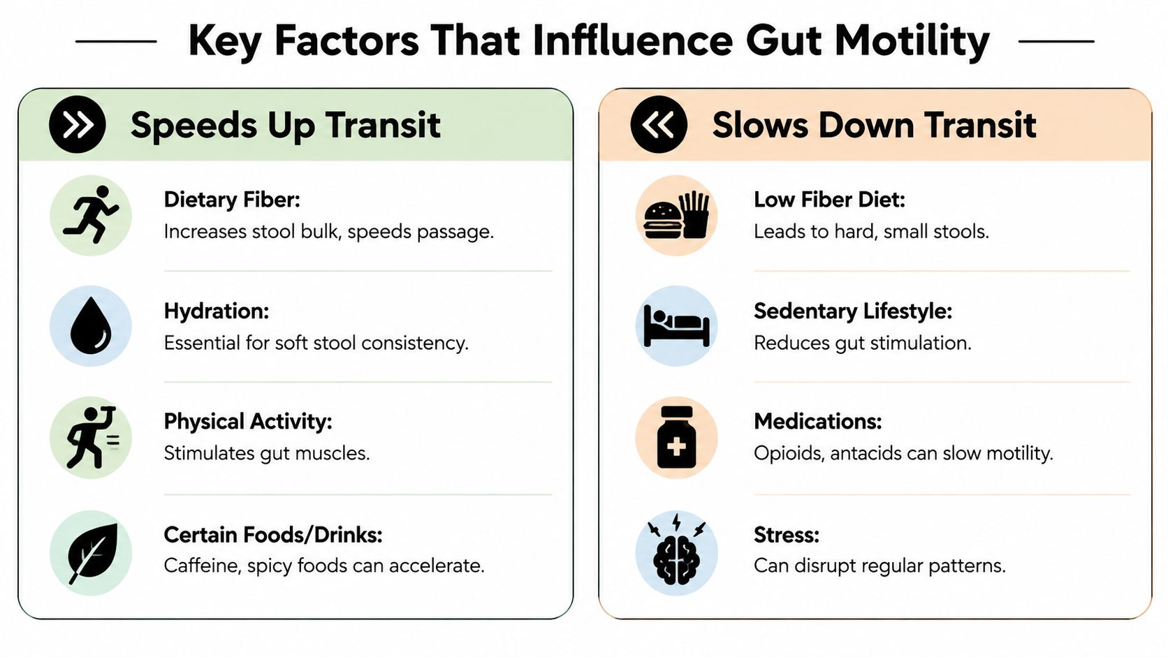 A chart comparing factors that speed up or slow down gut motility and digestion for better health.