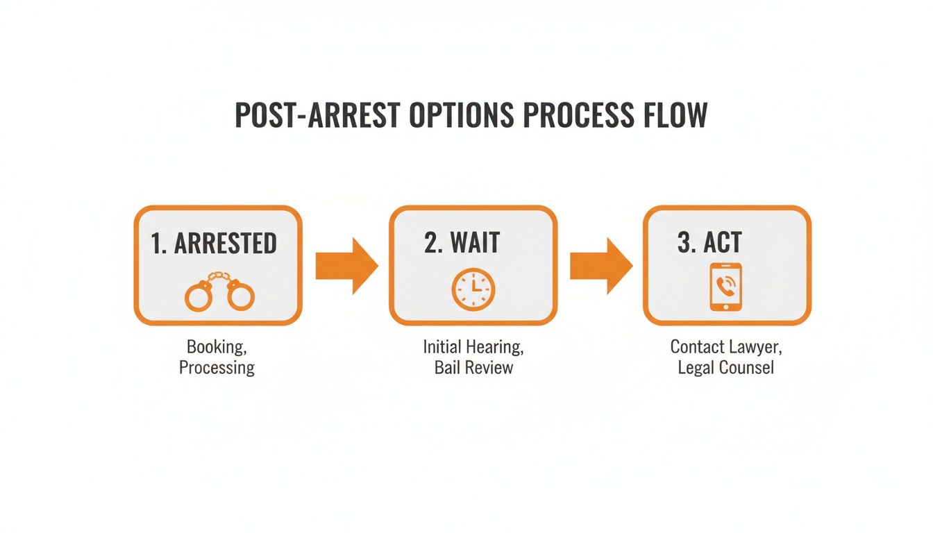 Flowchart illustrating the three-step post-arrest options process: Arrested, Wait, and Act.