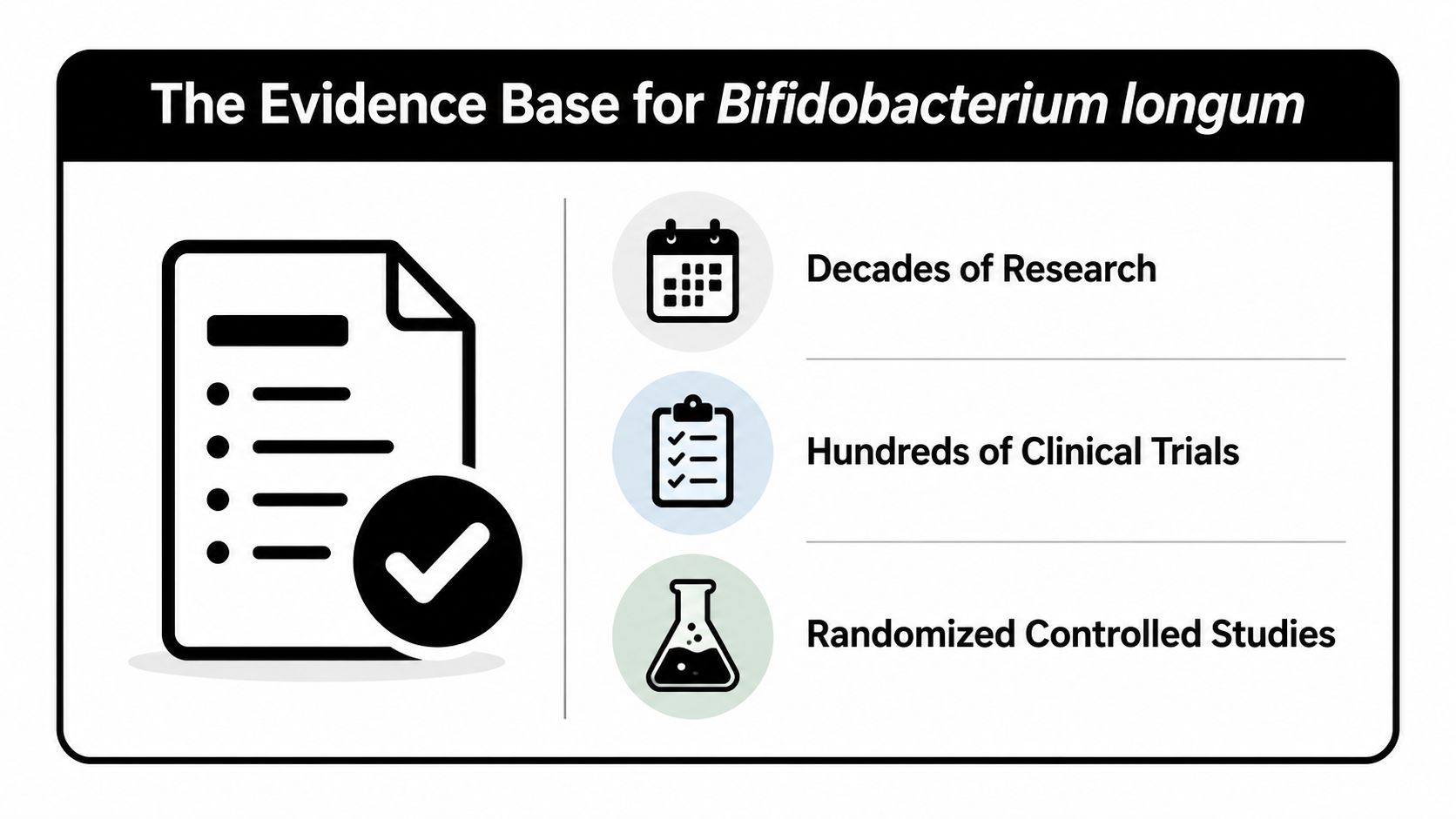 A graphic infographic displaying the extensive scientific research evidence base for the probiotic Bifidobacterium longum.