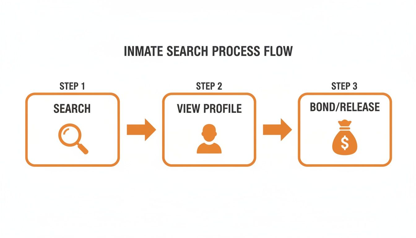 A three-step inmate search process flow illustrating search, view, and bond or release.