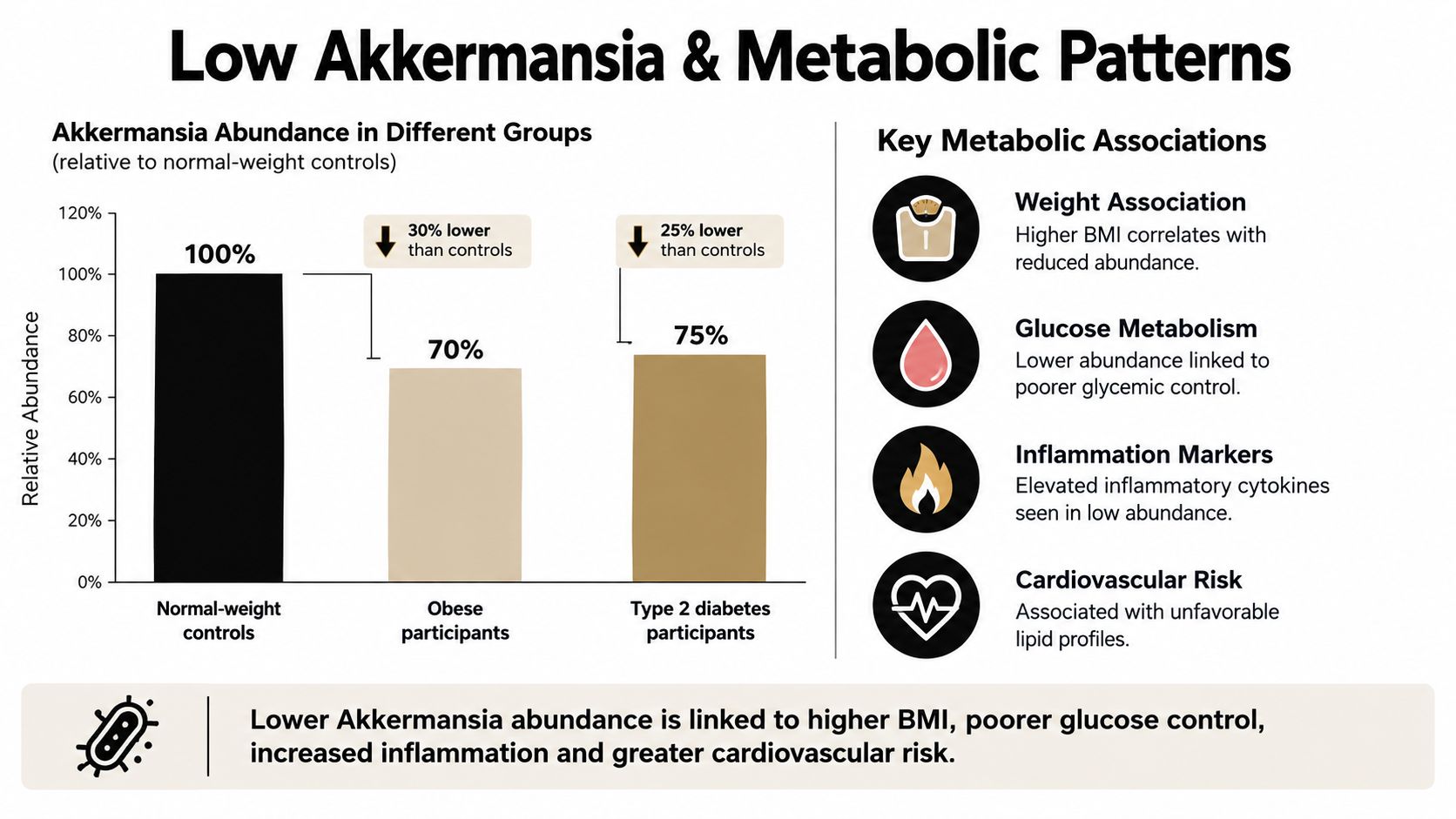 A chart showing lower Akkermansia abundance in obese and diabetic individuals compared to healthy controls.