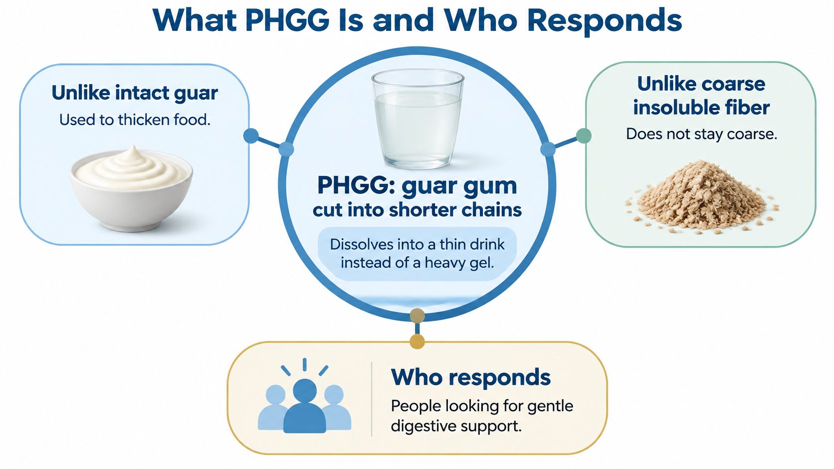 A diagram explaining that PHGG is a shortened guar gum that dissolves easily, benefiting gentle digestive health.