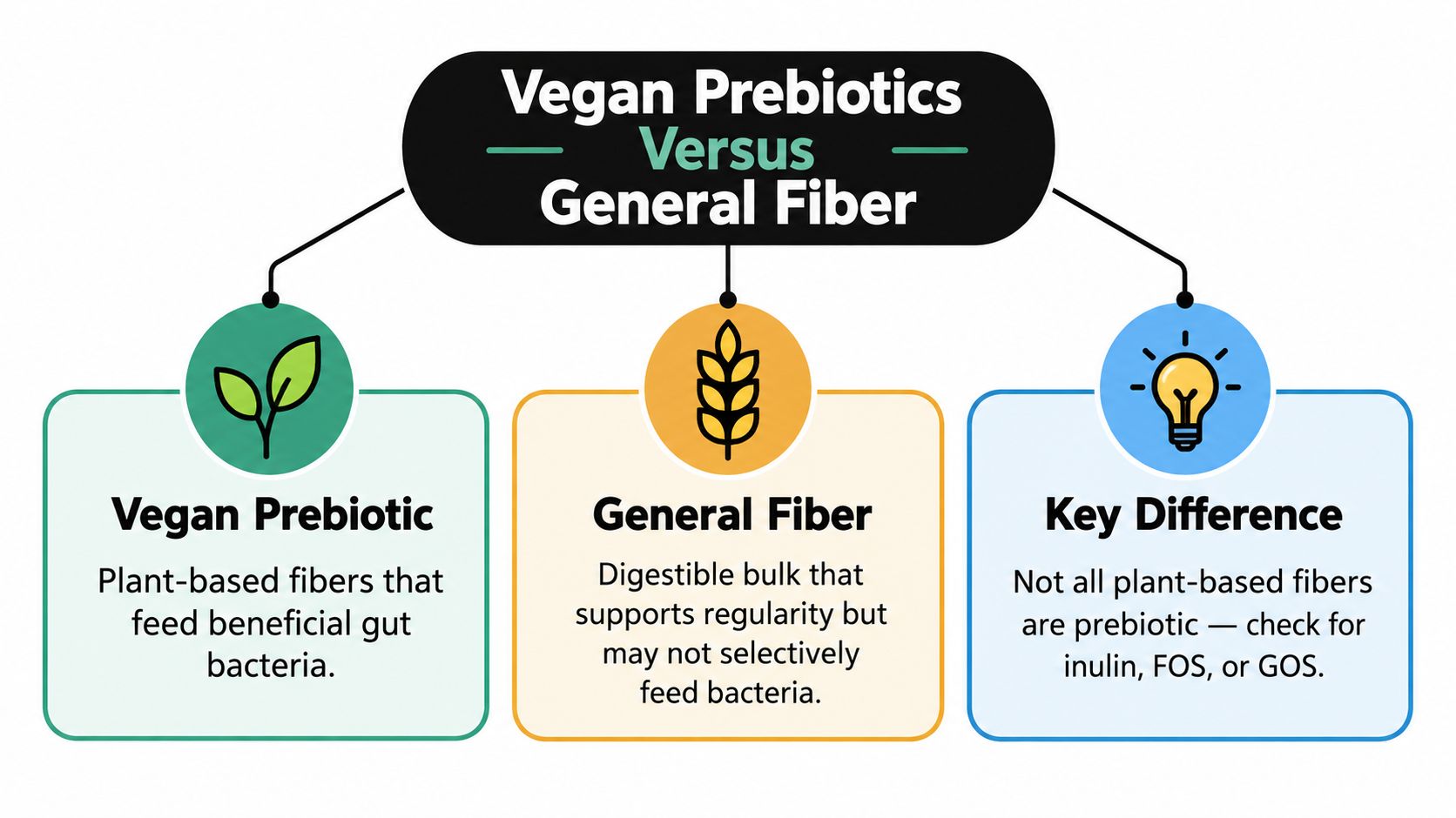 An infographic comparing vegan prebiotics and general fiber, highlighting how they differ for gut health.