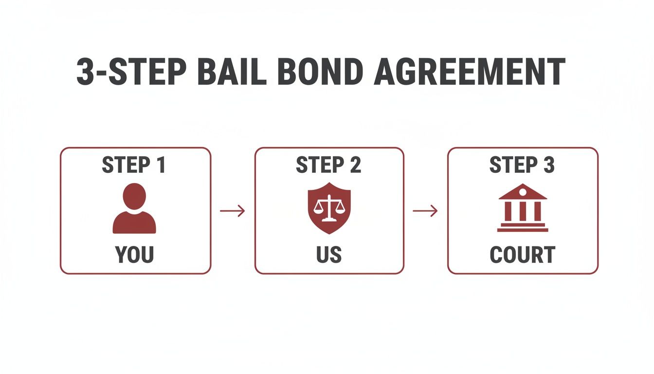 Understanding Bail Surety Bonds in Forsyth County, GA