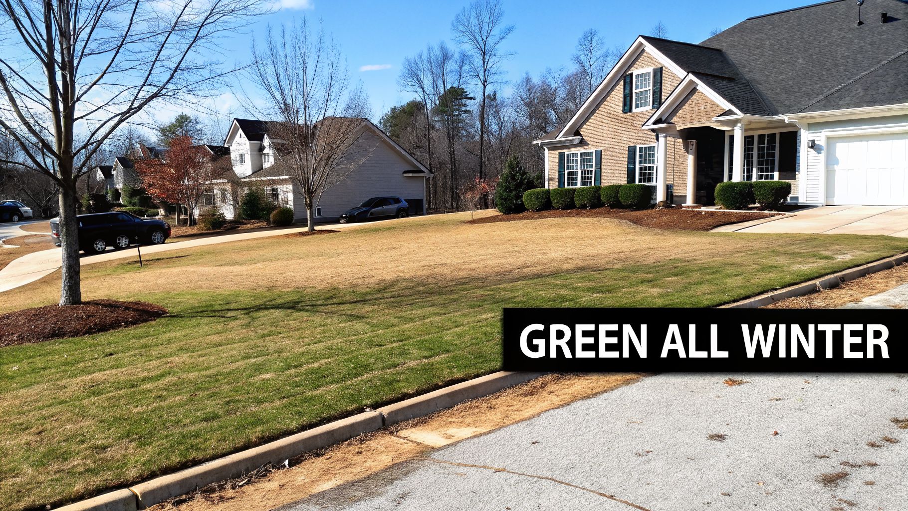 A residential street in winter with houses, partially green and brown lawns, and a 'GREEN ALL WINTER' overlay.