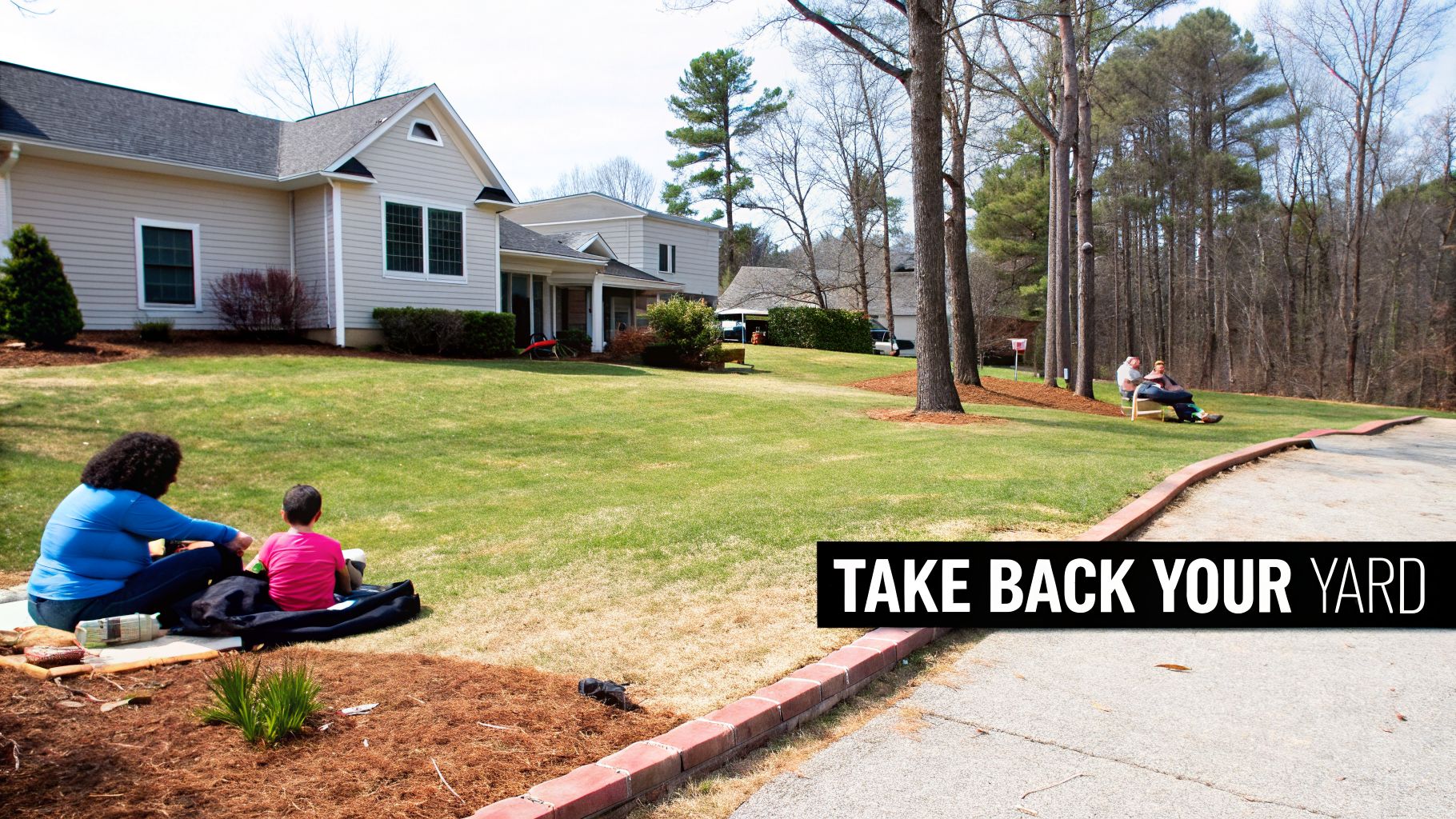 People relaxing in a lush green residential yard with houses, trees, and a paved driveway.