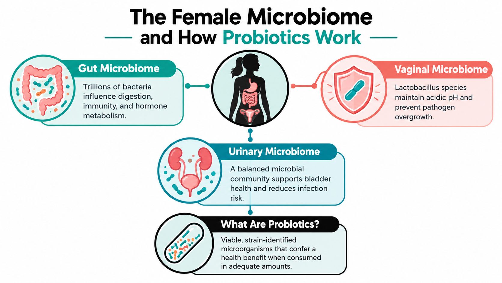 An infographic detailing the female microbiome, focusing on the gut, vaginal, and urinary systems and probiotics.