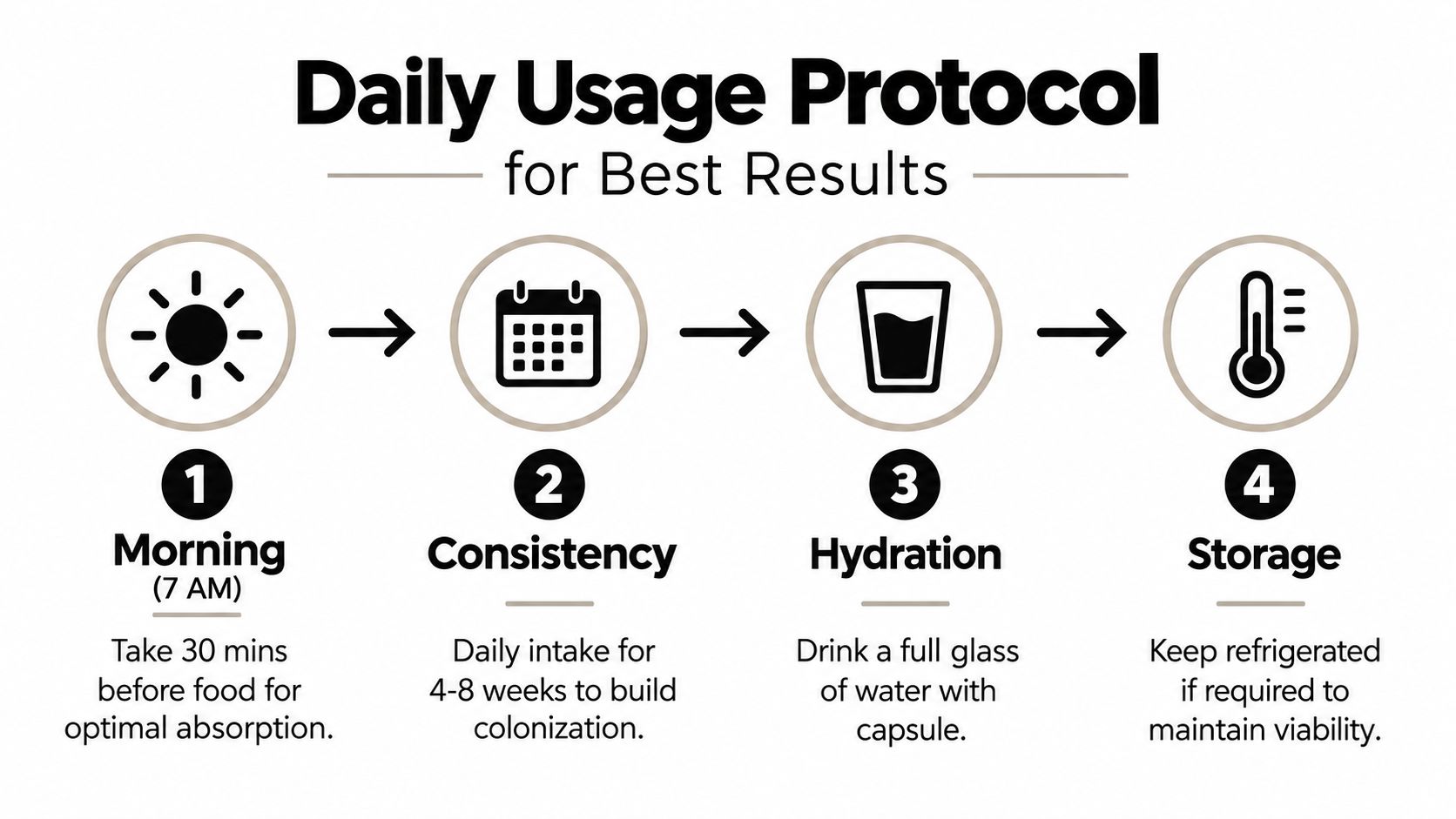 A four-step infographic explaining the daily usage protocol for a health supplement or probiotic capsule.