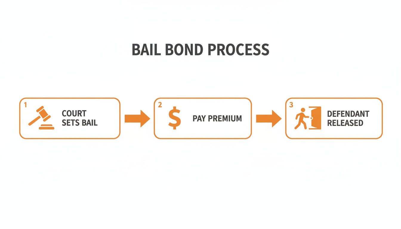24-Hour Bail Bonds in Forsyth County, GA: Your Fast Release Guide