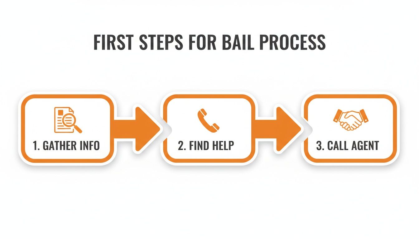 An infographic illustrating the first steps for a bail process: gather information, find help, and call an agent.